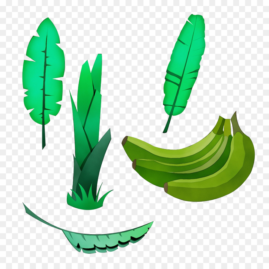 Feuilles De Bananier，Bananes PNG