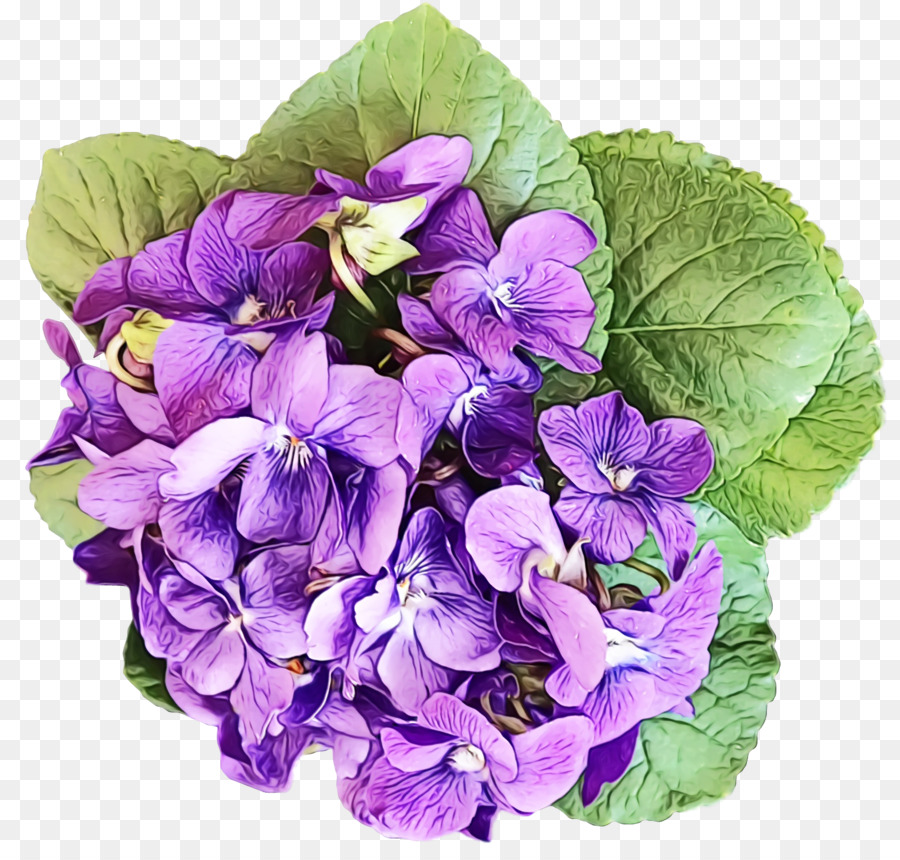 Fleurs Violettes，Violet PNG