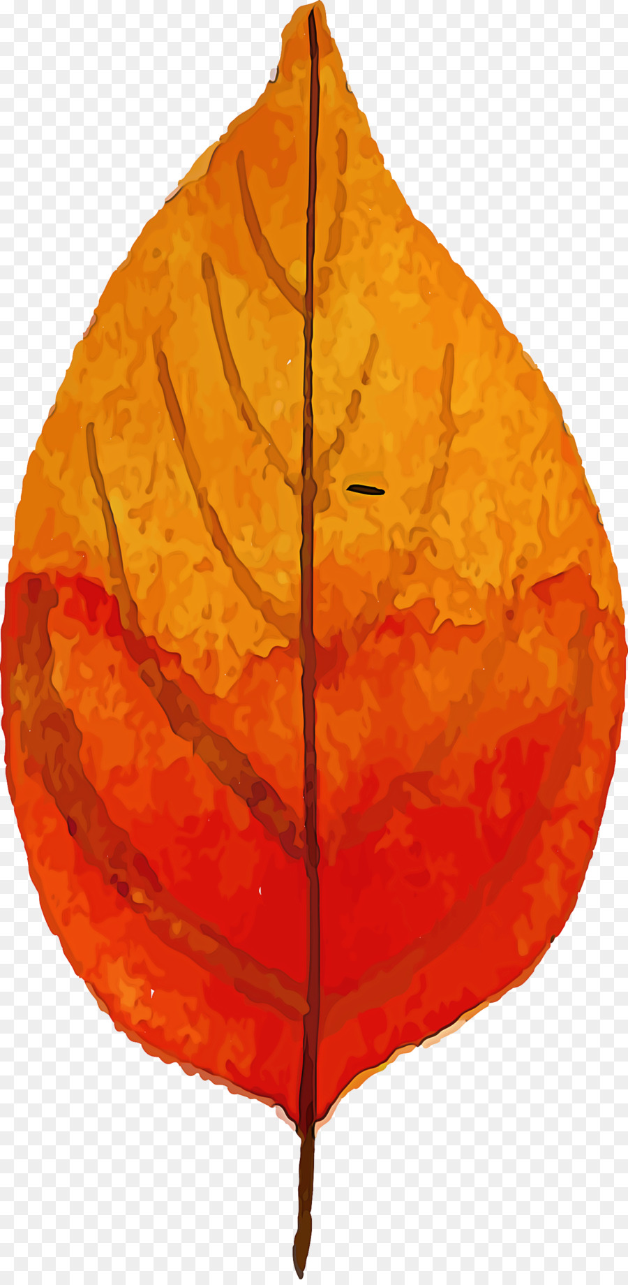 Feuille，Automne PNG