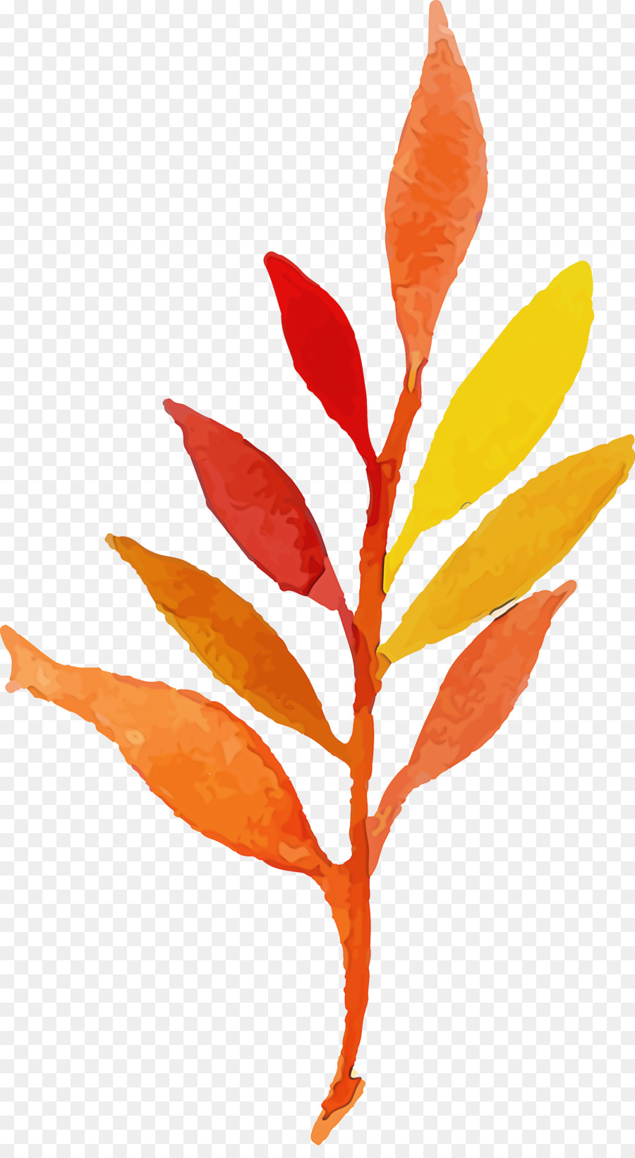 Feuilles D'automne，Bifurquer PNG