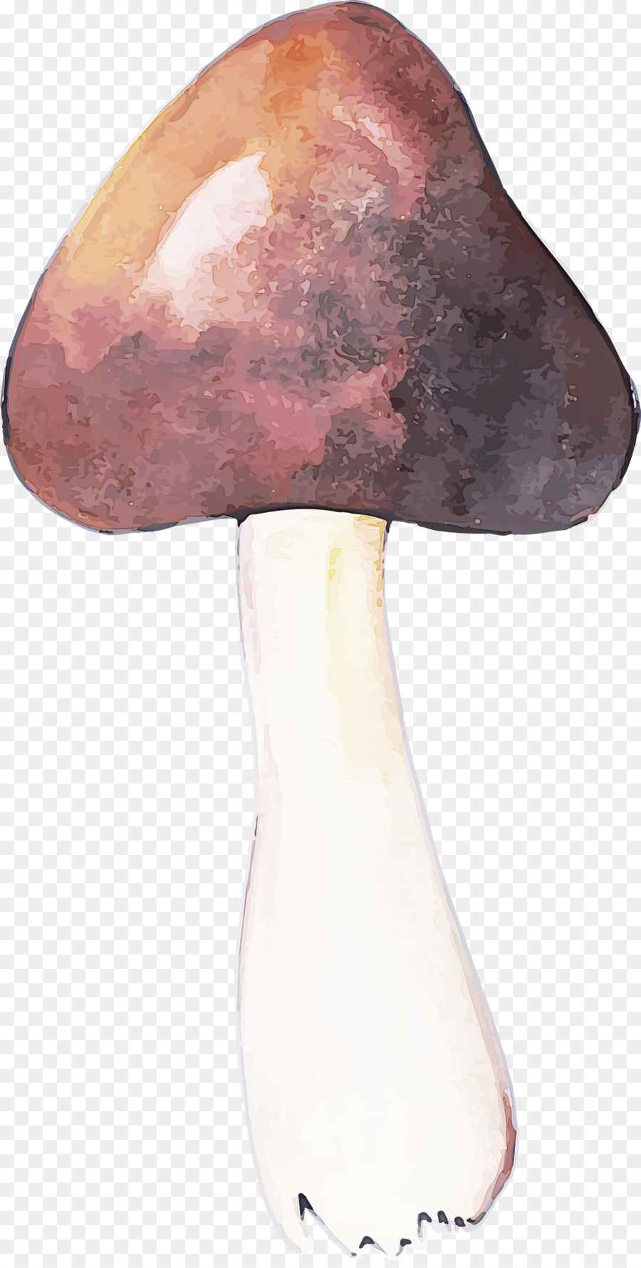 Violet，Champignons PNG