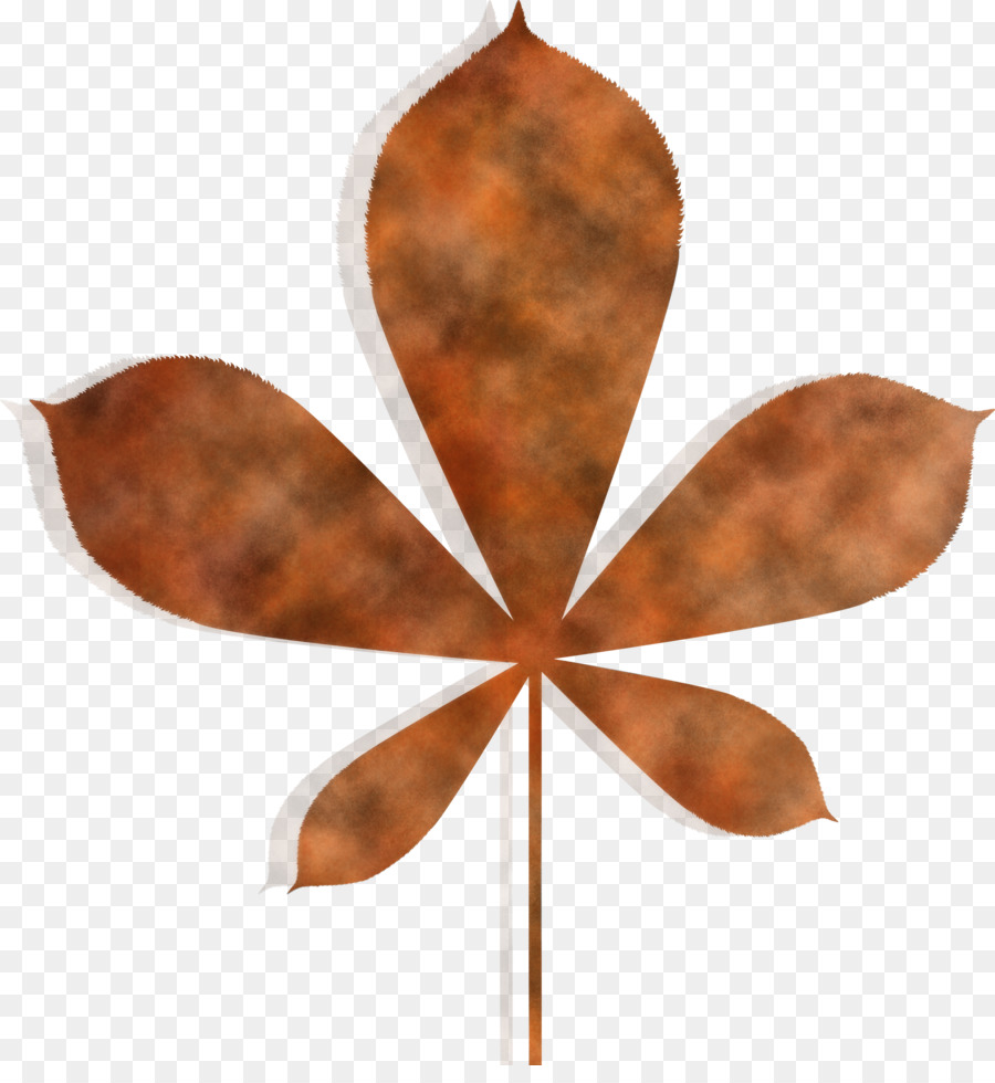 Feuille，Automne PNG