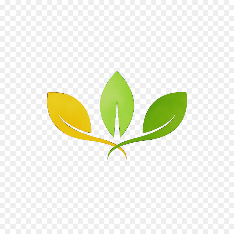 Feuille Verte，Feuillage PNG