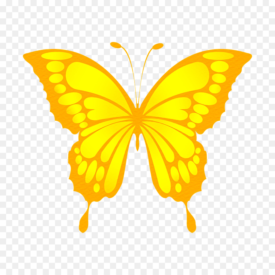 Papillon Jaune，Nature PNG