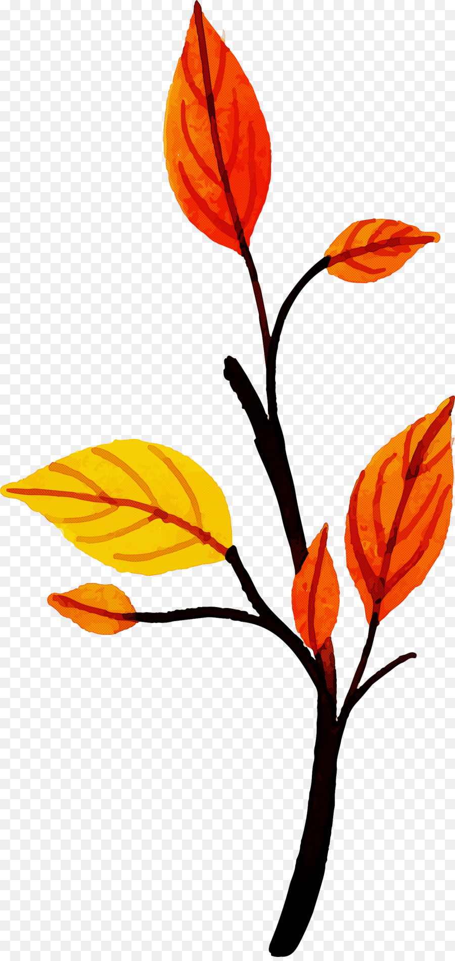 Feuilles D'automne，Bifurquer PNG