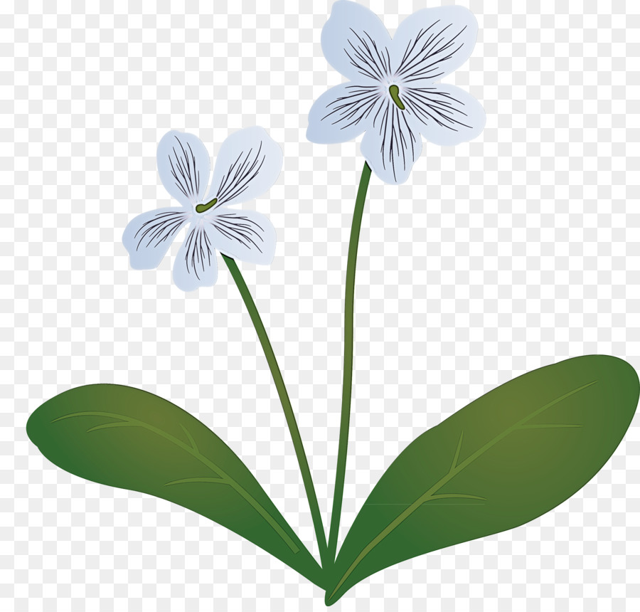 Fleur，Bleu PNG