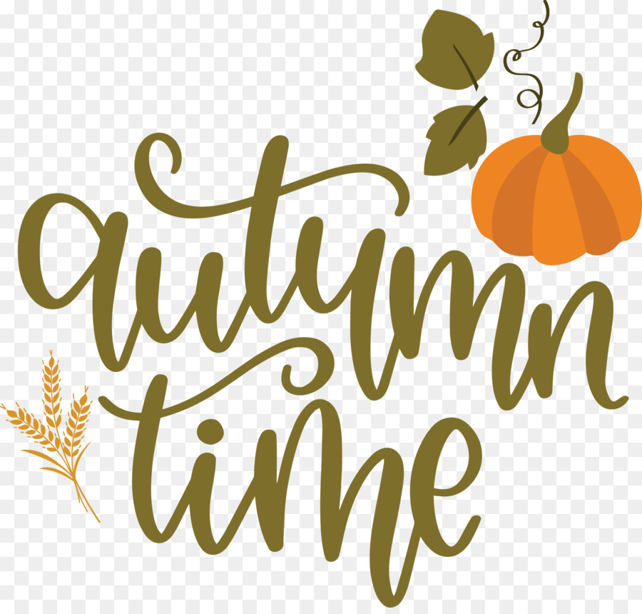 Temps D'automne，Feuilles PNG