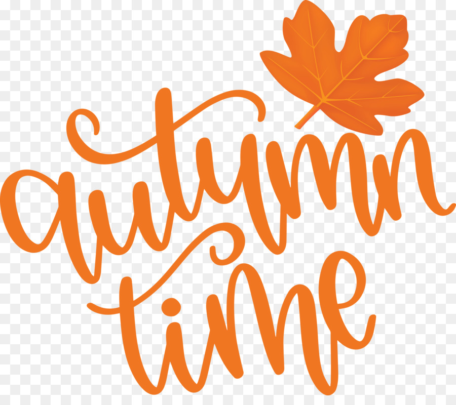 Temps D'automne，Feuilles PNG