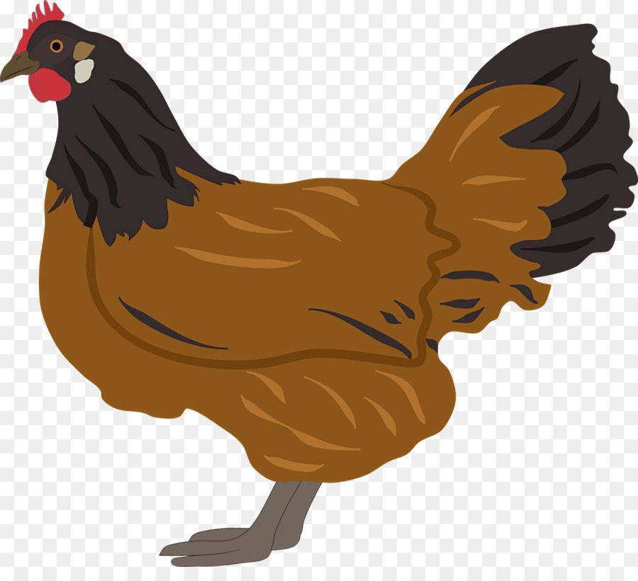 Volaille，Poulet PNG
