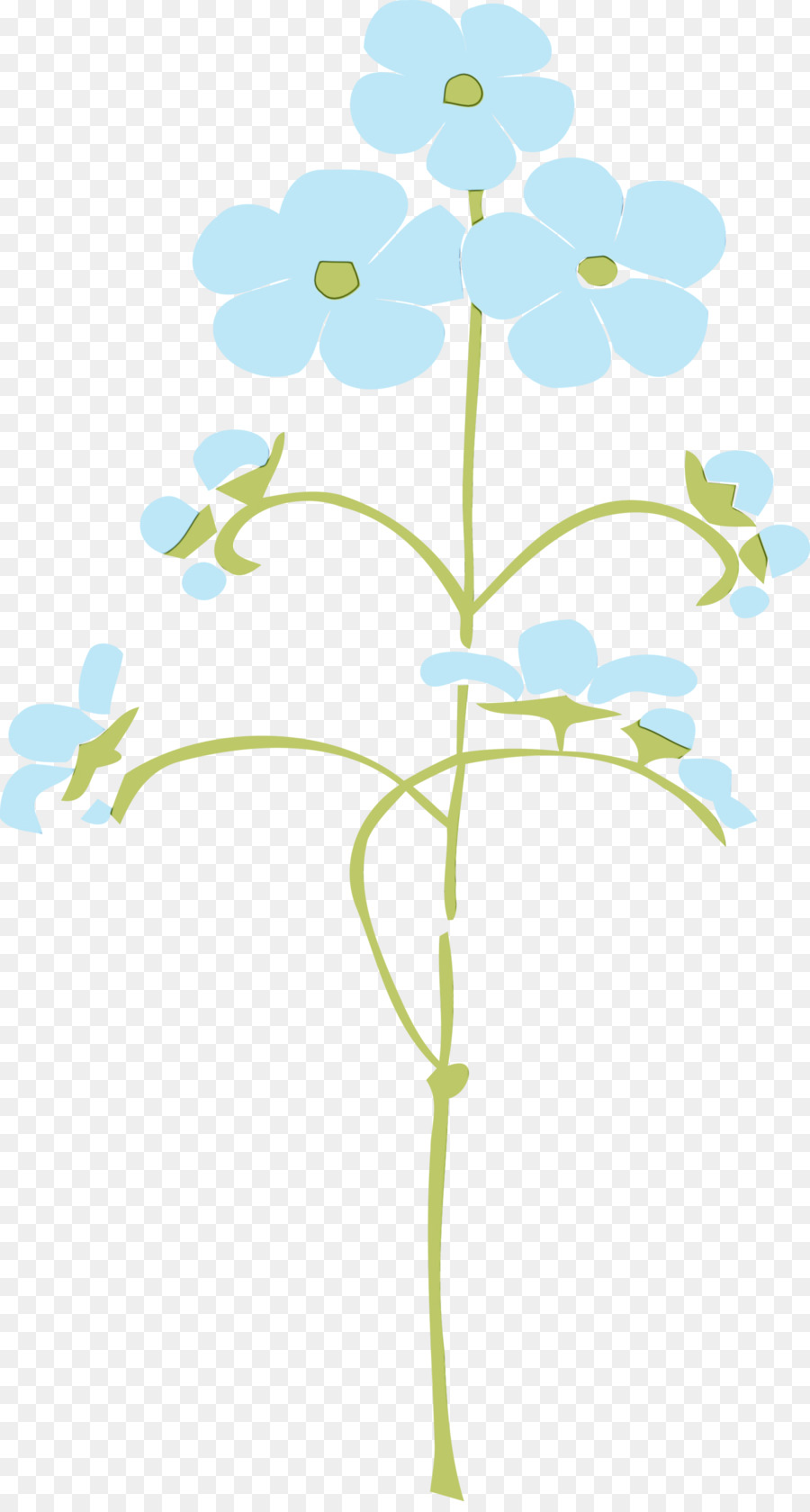 Feuille，Tige De La Plante PNG