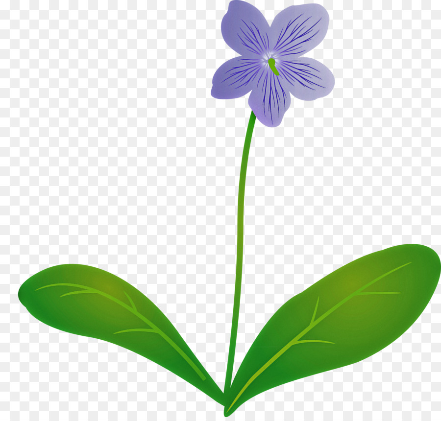 Fleur，Fleurir PNG