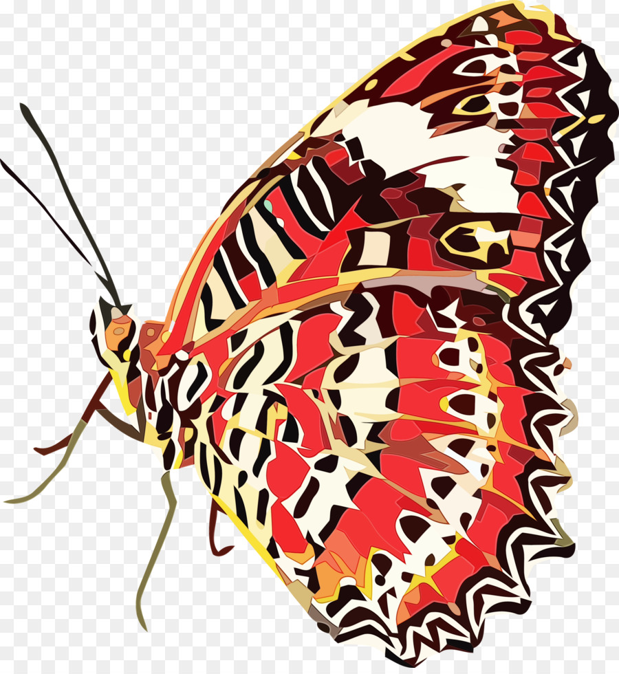 Les Insectes，Les Papillons PNG