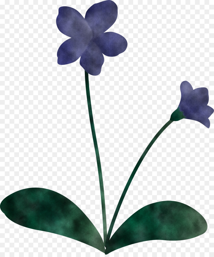 Fleurs Bleues，Nature PNG