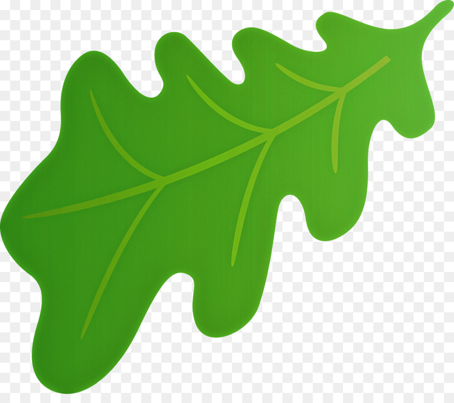 Feuille Verte，Usine PNG