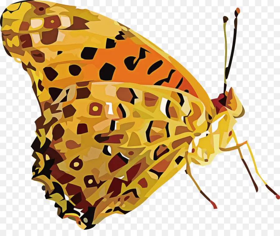 Les Insectes，Brushfooted Papillons PNG