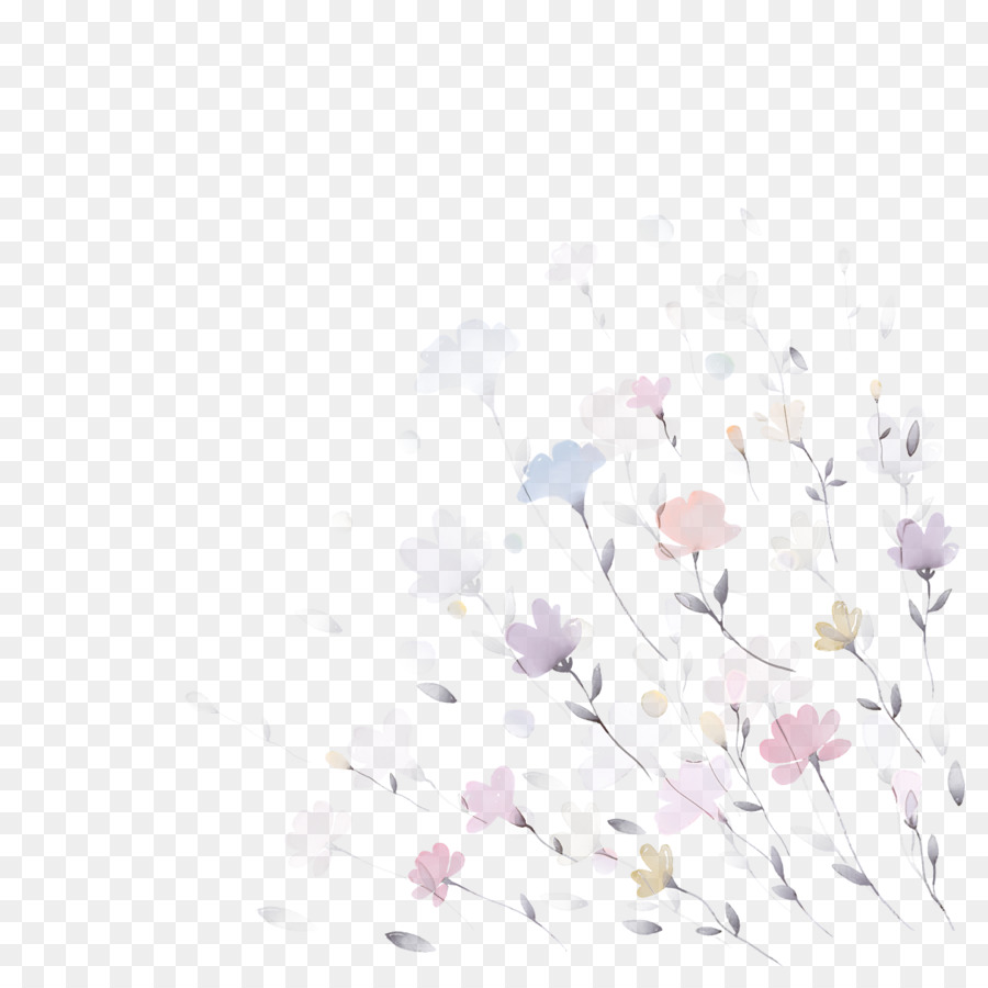 Fleurs，Coloré PNG