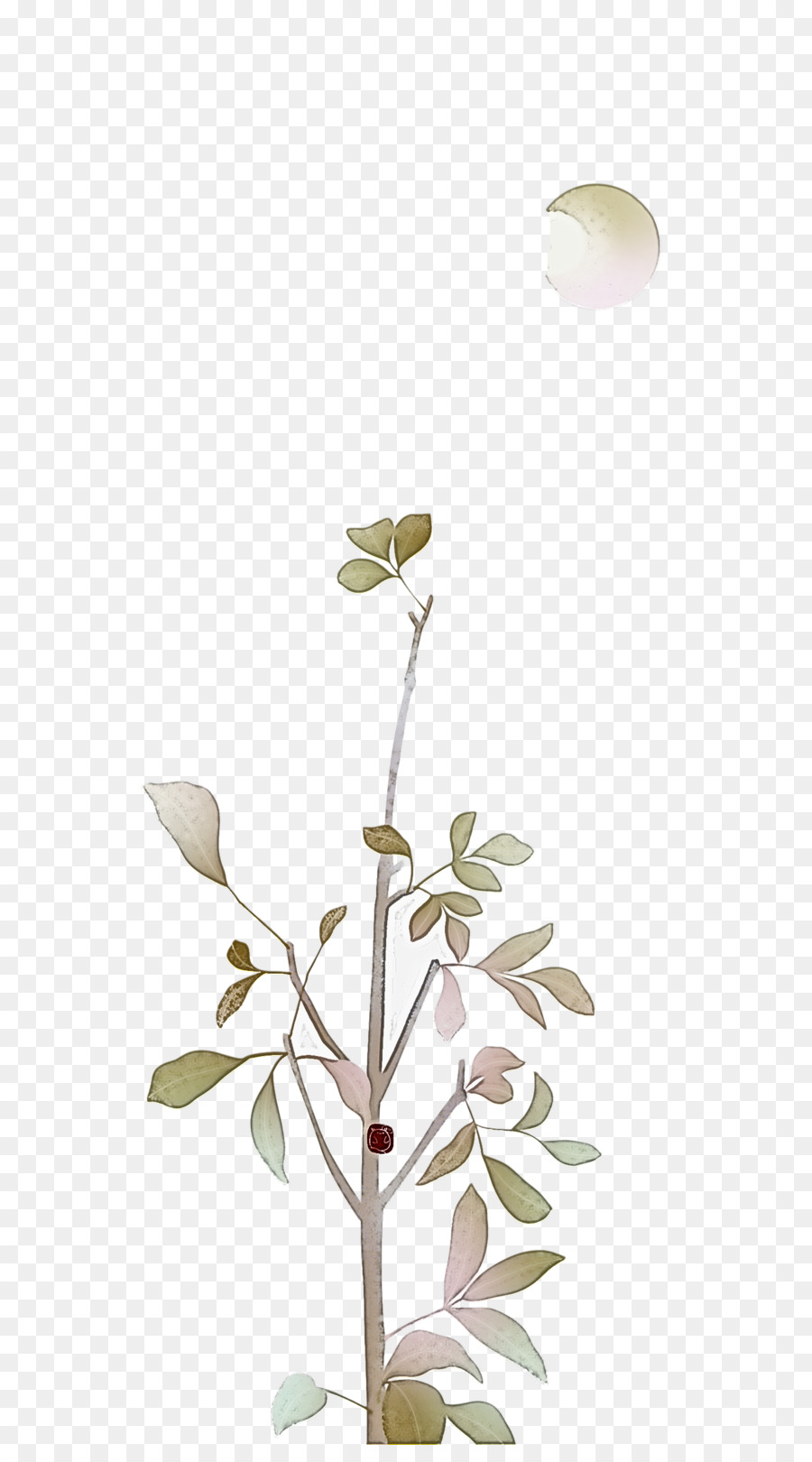 Tige De La Plante，Les Fleurs Coupées PNG