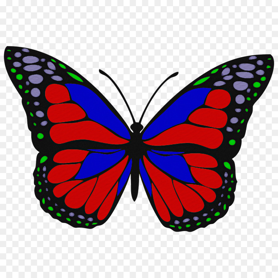 Les Papillons，Ménélas Morpho Bleu PNG