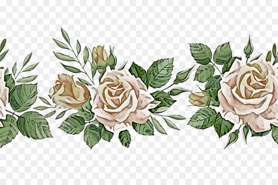 Bordure Florale，Fleurs PNG