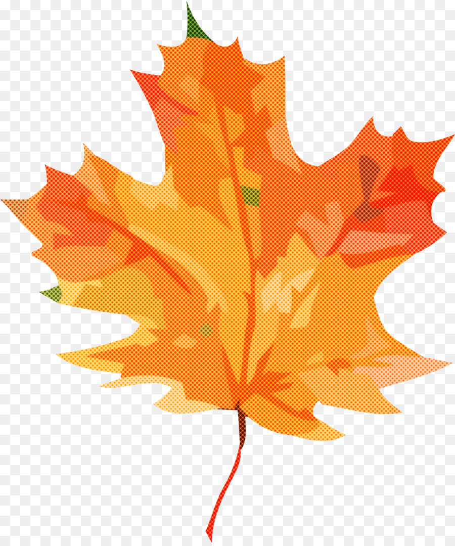 Feuille Rouge，Automne PNG