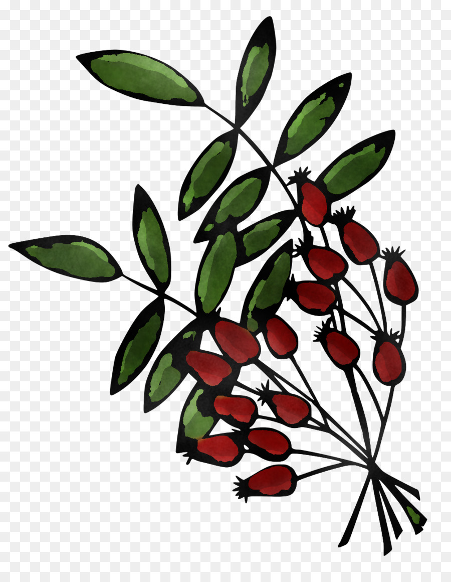 Fleur，Tige De La Plante PNG