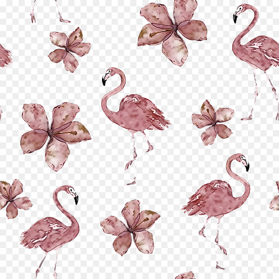 Flamants Roses，Fleurs PNG