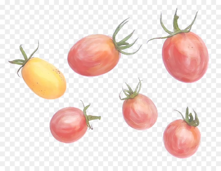 Plant De Tomate，Les Aliments Naturels PNG