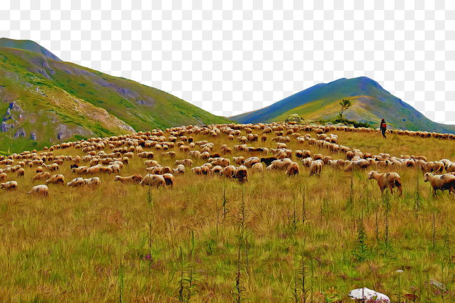 Les Prairies，Plante De La Communauté PNG