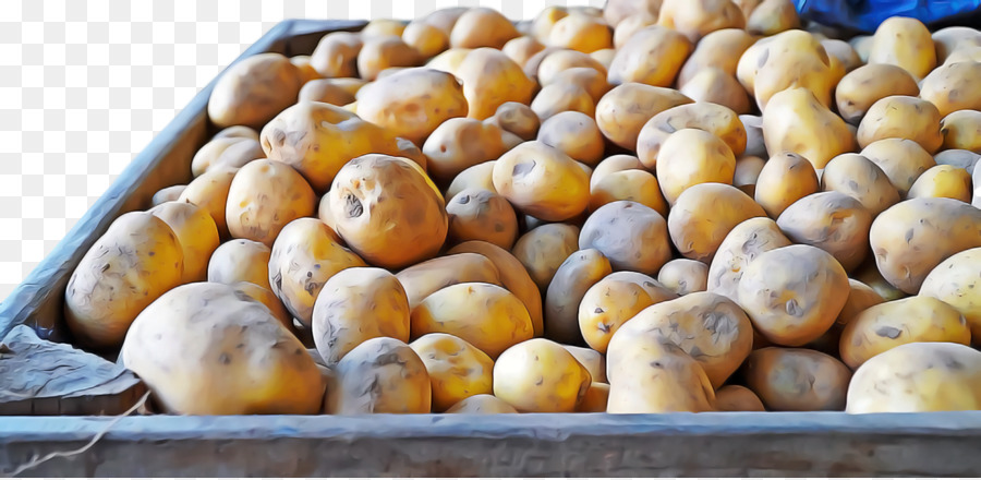 Racine Des Légumes，Légume PNG