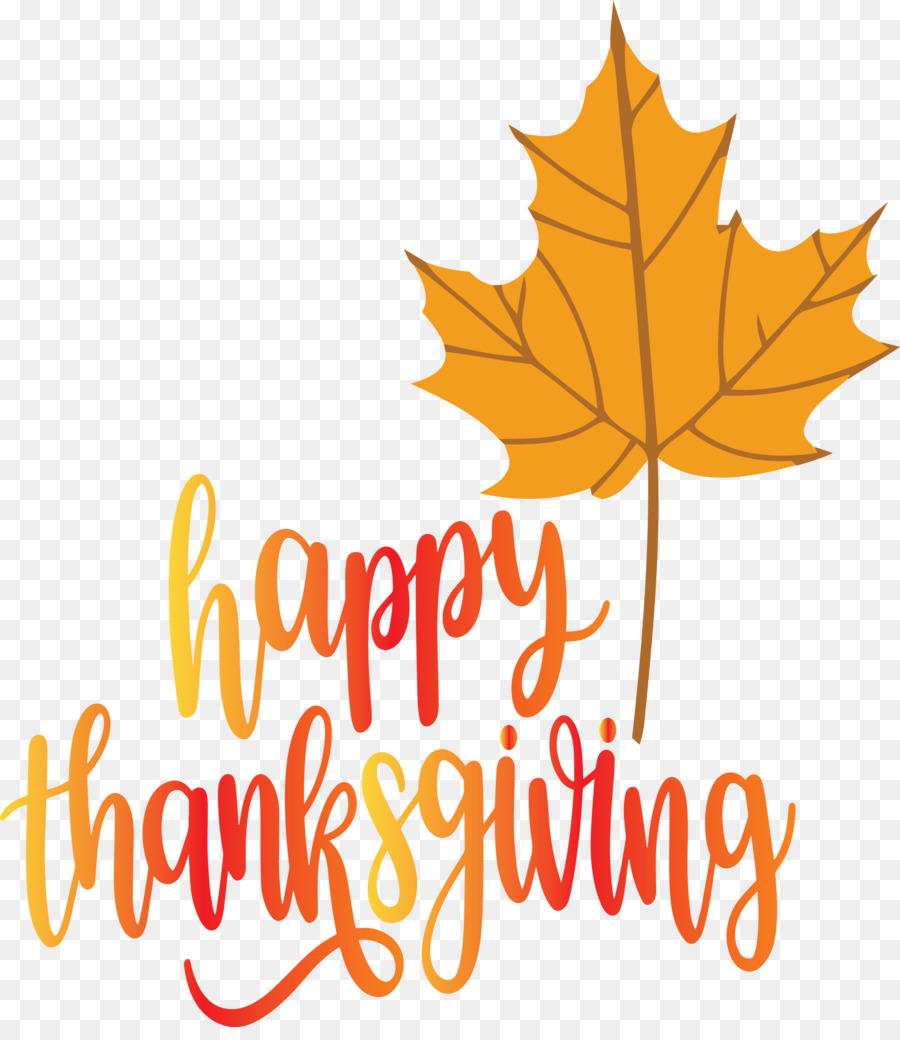 Joyeux Thanksgiving，Feuille PNG