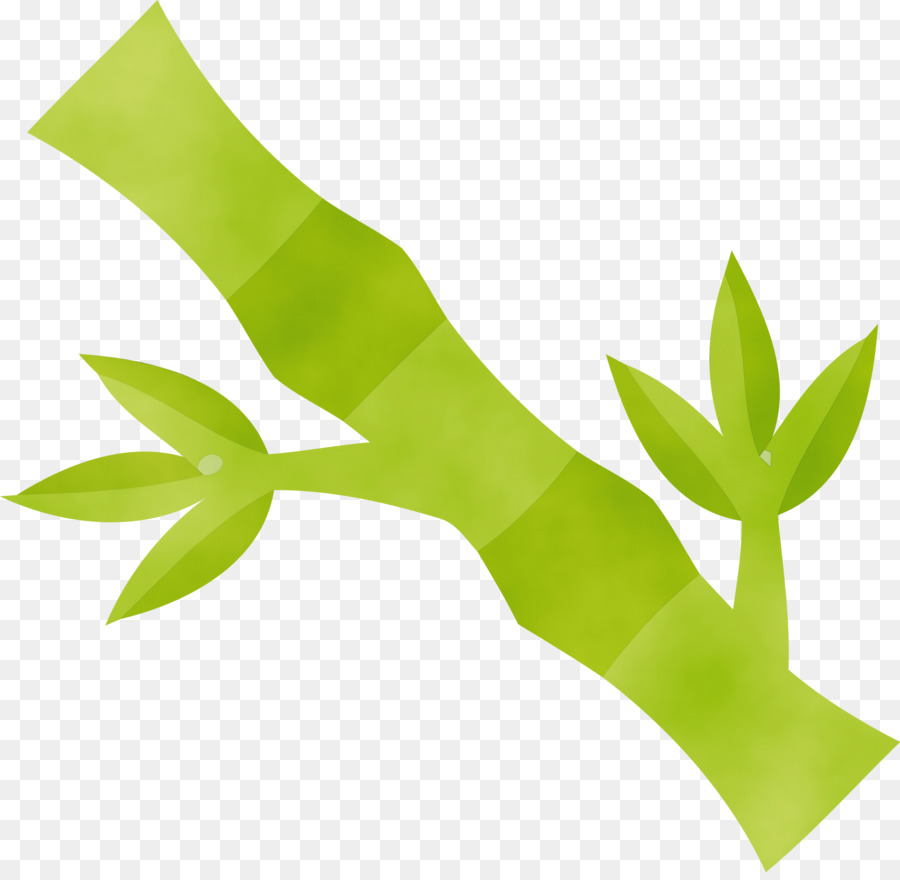 Feuilles，Vert PNG