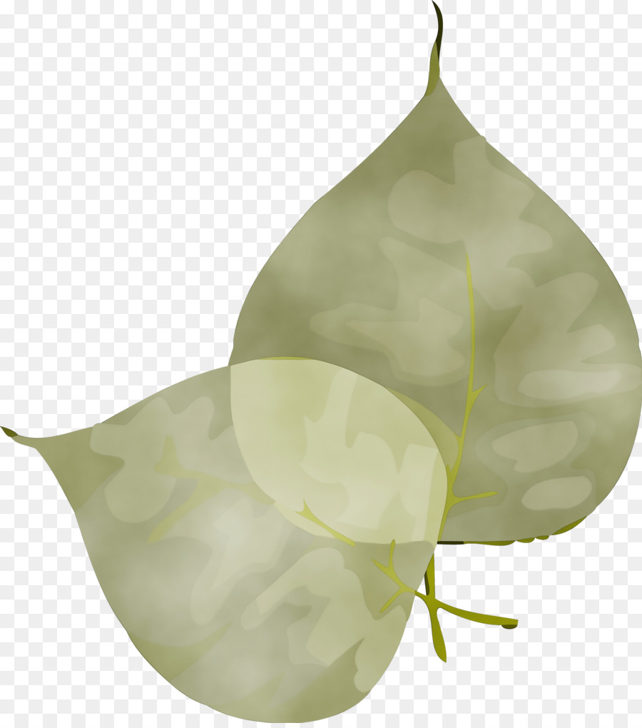 Feuille Jaune，Tige PNG