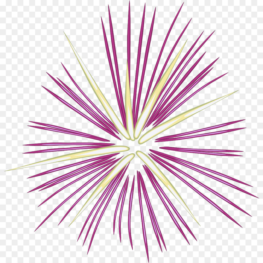 Feux D'artifice，Coloré PNG