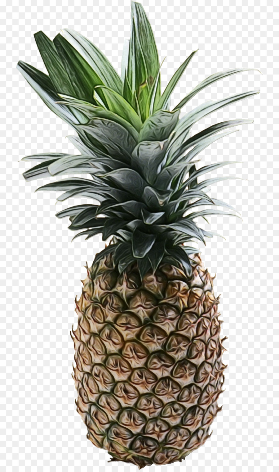 Ananas Bleu，Fruit PNG