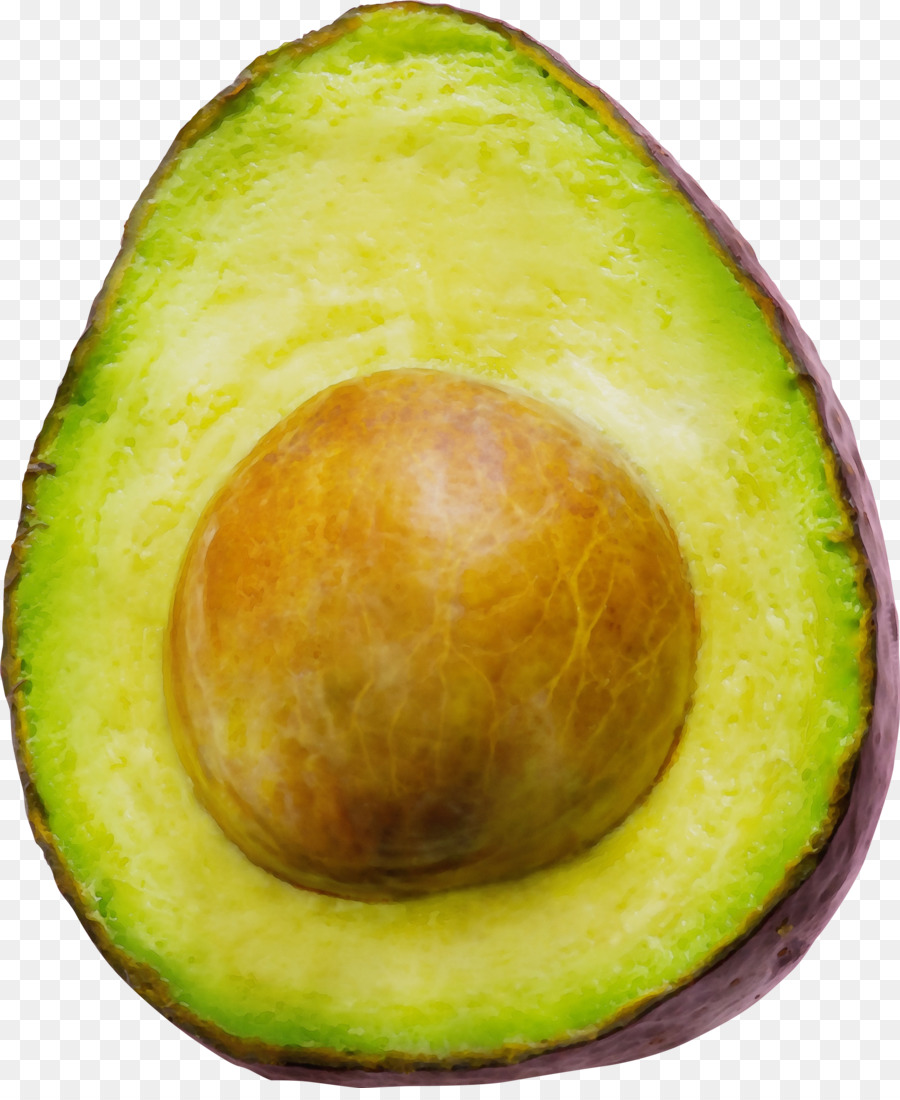 Avocat，Graine PNG