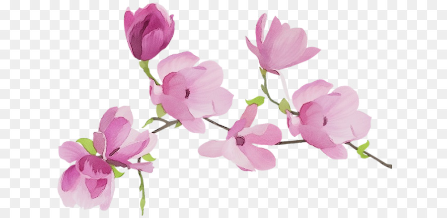 Fleurs Roses，Rose PNG