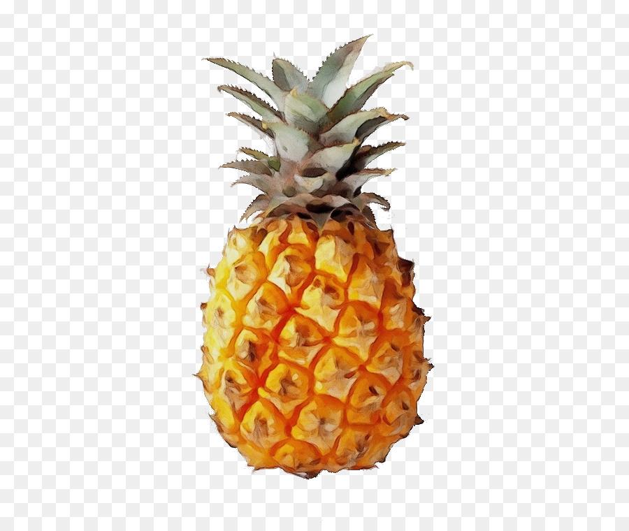 Ananas Coloré，Ananas PNG