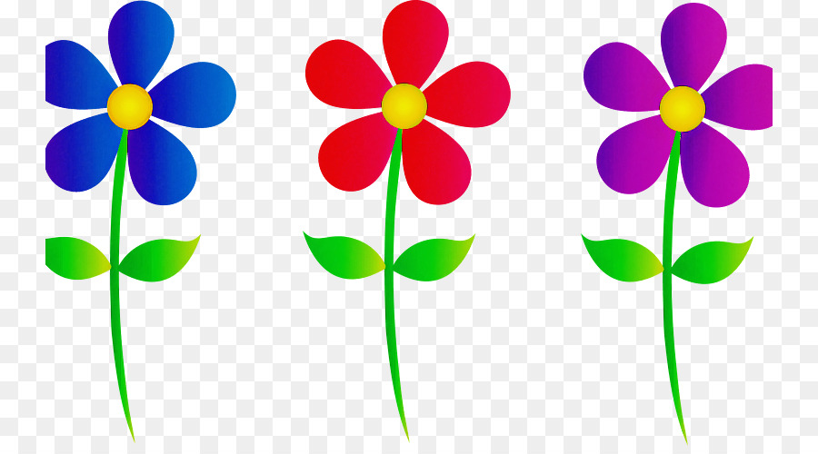 Fleurs Colorées，Jardin PNG