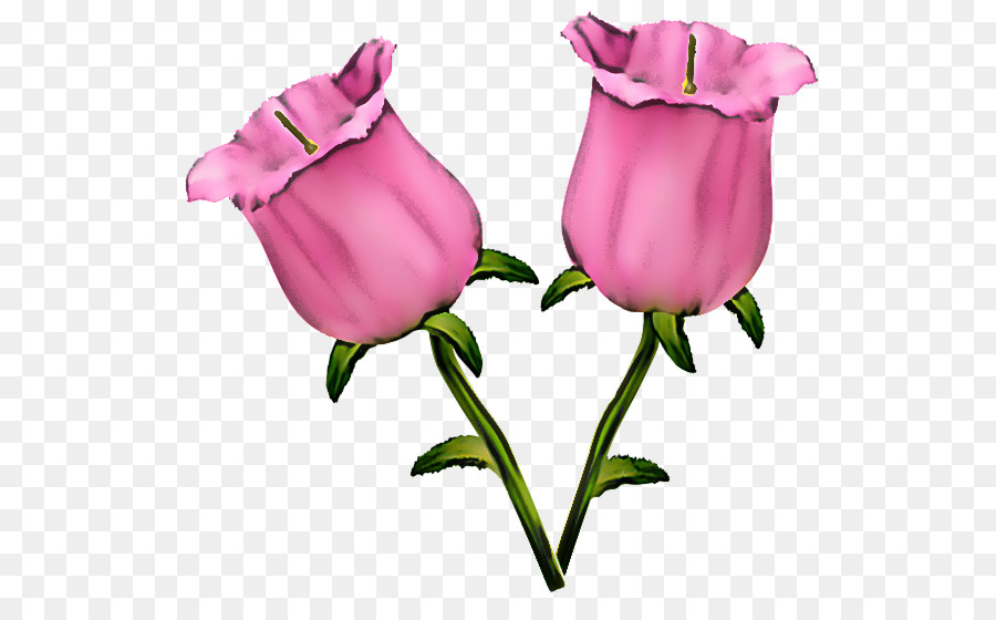 Les Roses De Jardin，Les Fleurs Coupées PNG