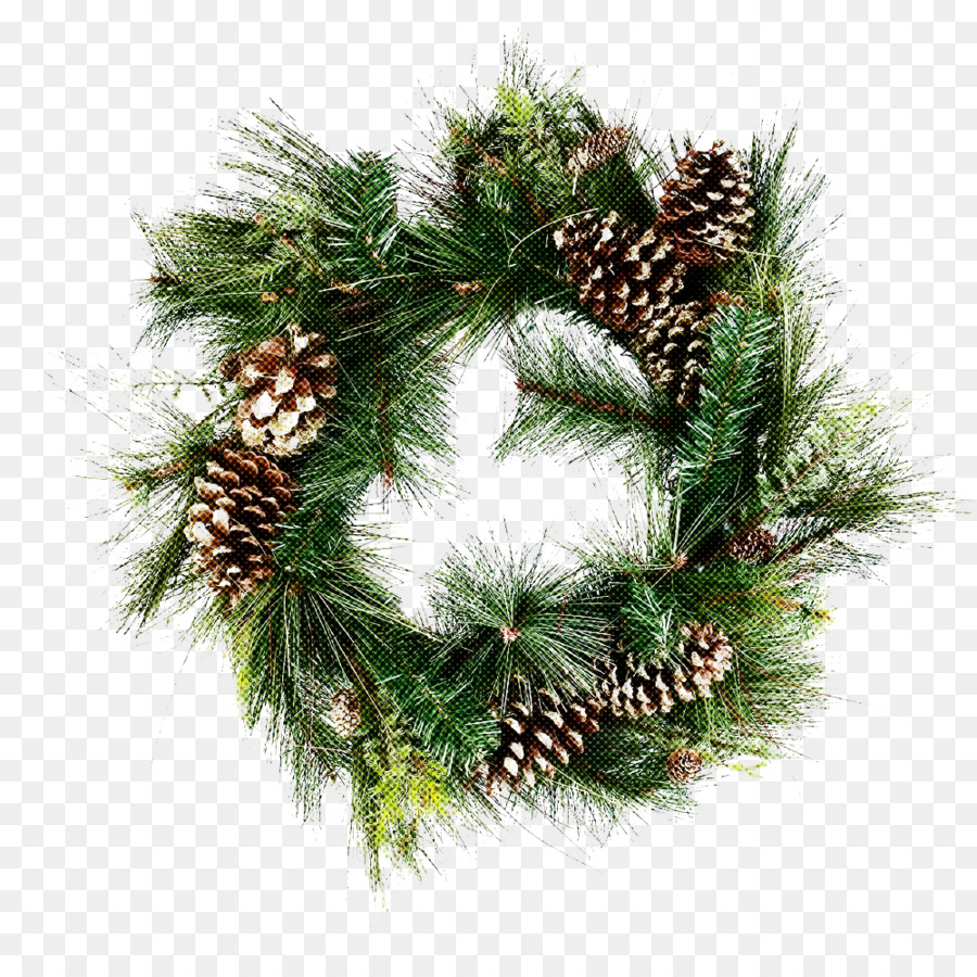 Couronne De Noël，Pin PNG