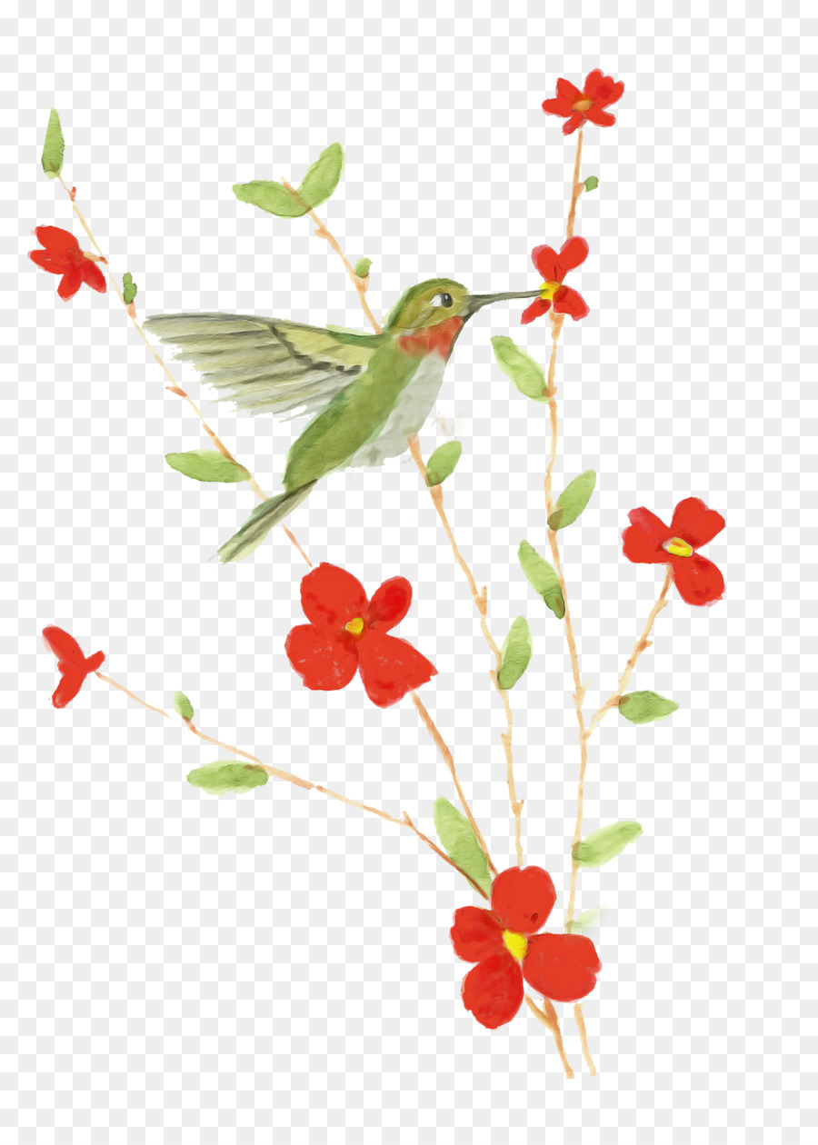 Art Floral，Feuille PNG