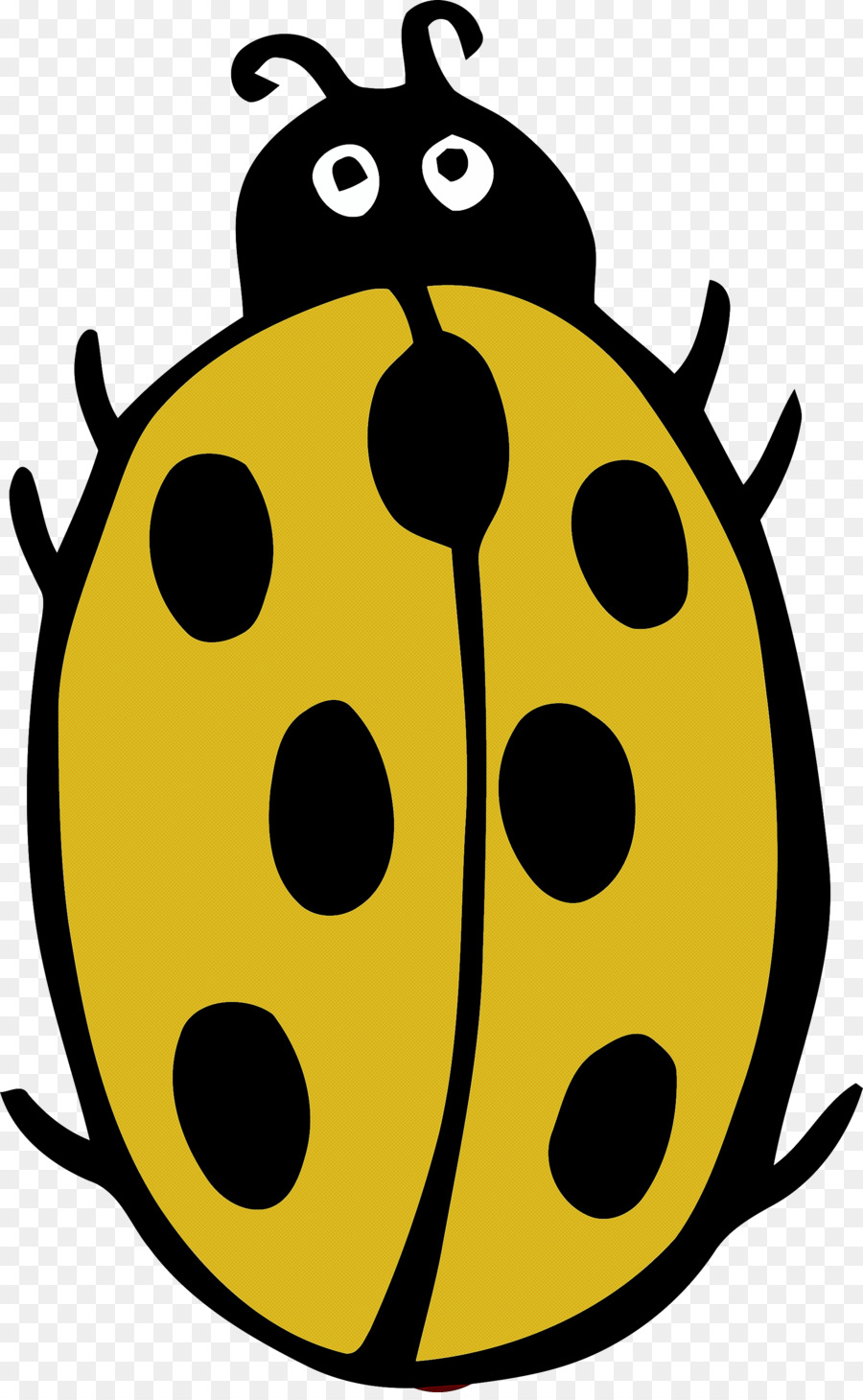 Coccinelle，Bogue PNG