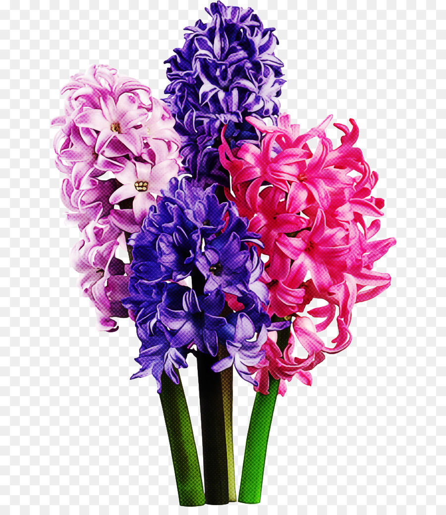 Fleurs Violettes，Fleurir PNG