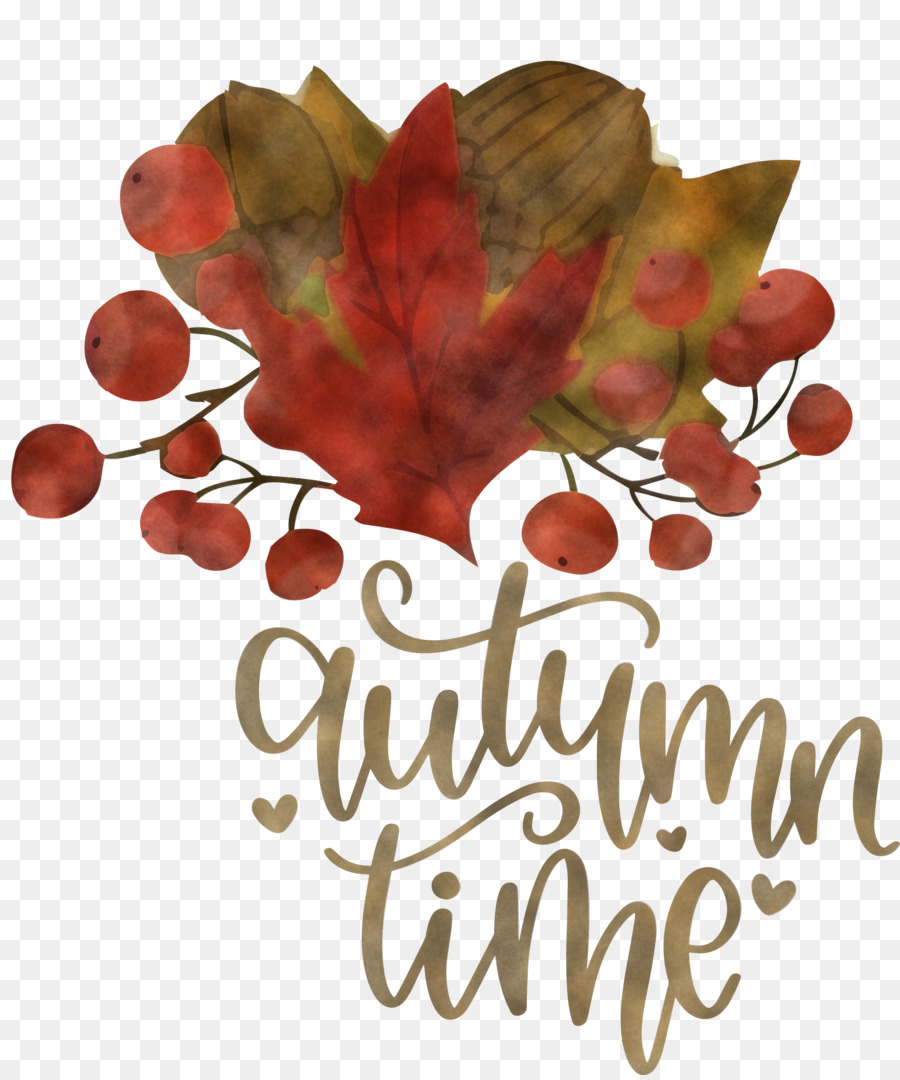 Feuilles D'automne，Feuilles PNG