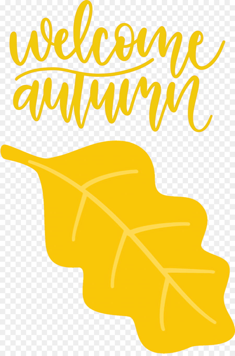 Feuille D'automne，Automne PNG