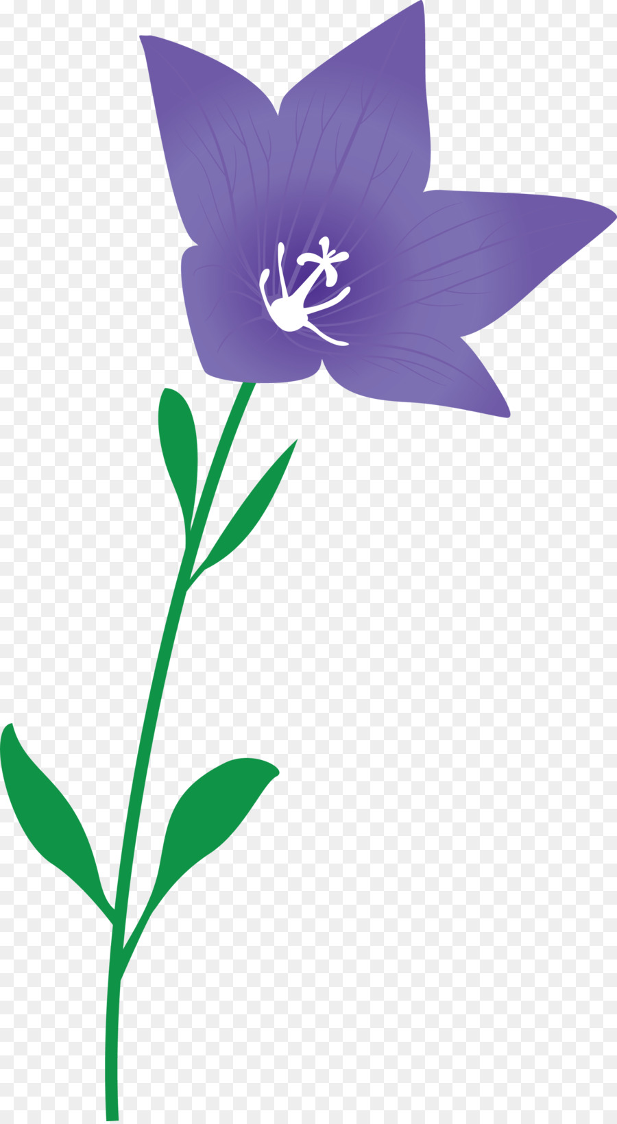 Fleur，Tige De La Plante PNG