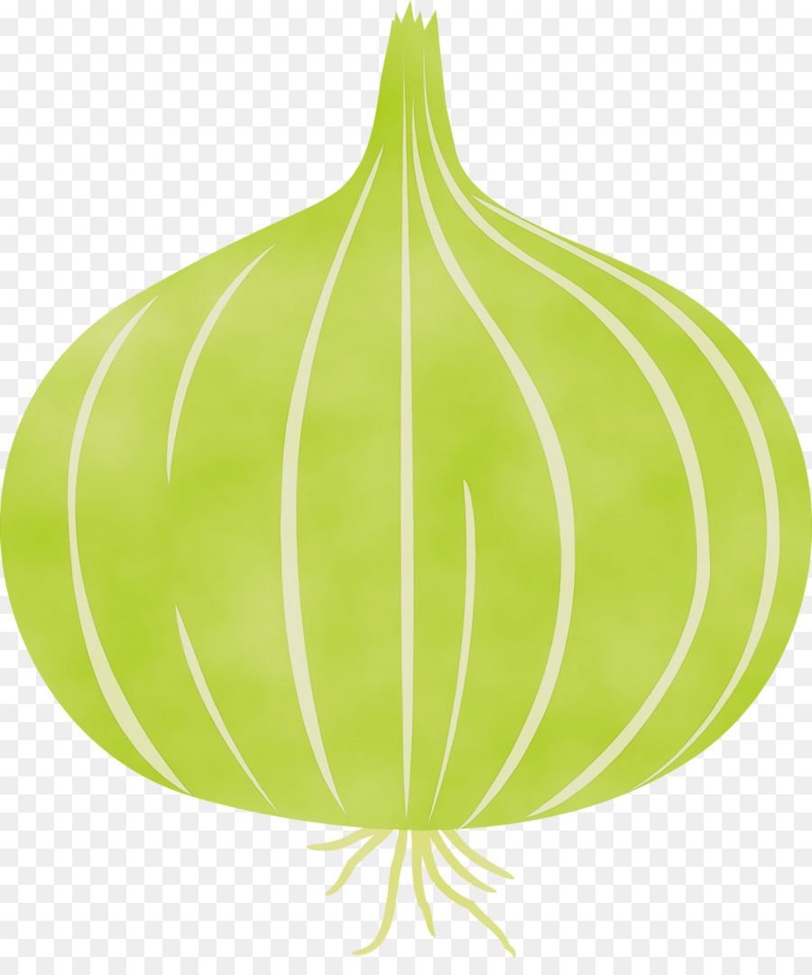 Feuille，Vert PNG