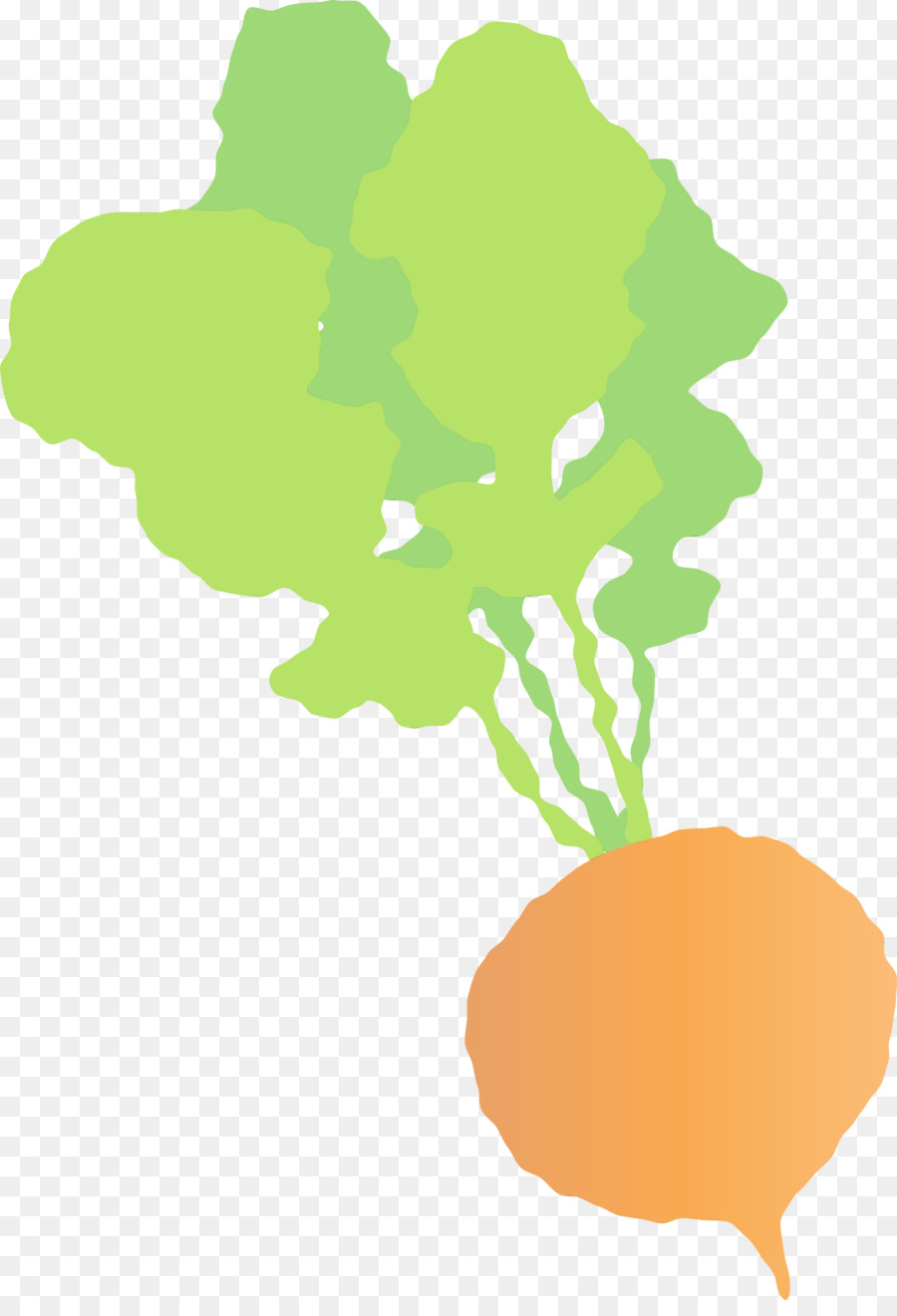 Tige De La Plante，Feuille PNG