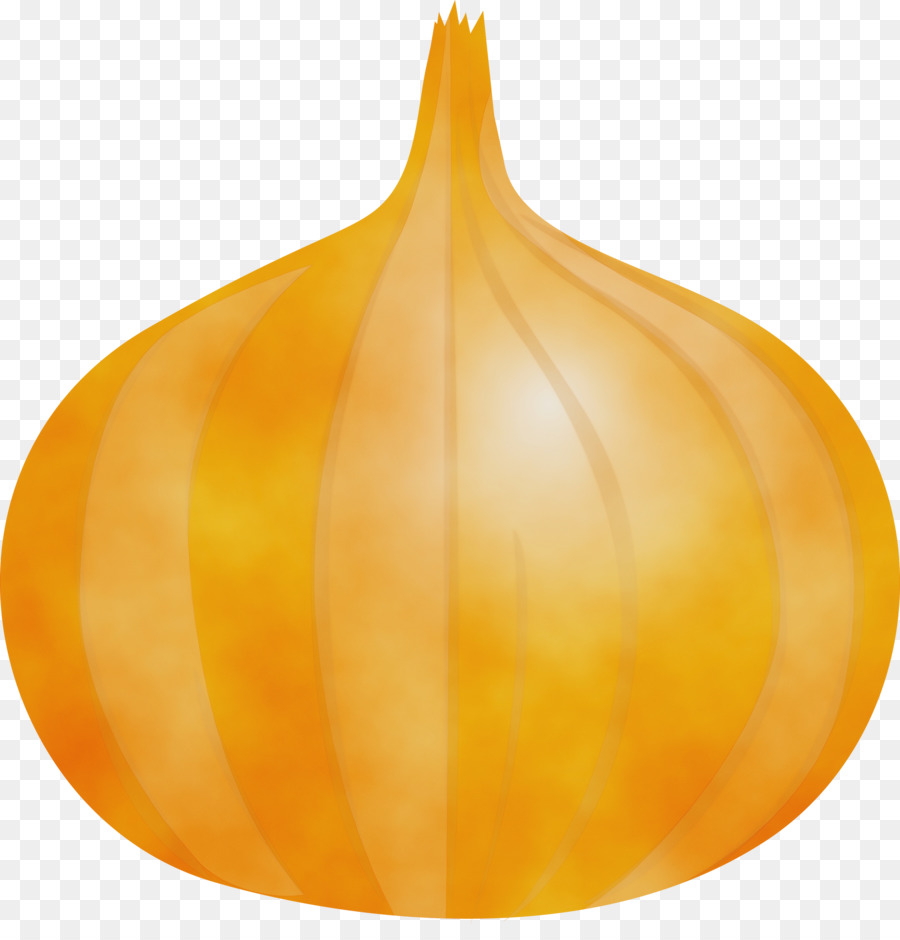 Oignon，Ampoule PNG