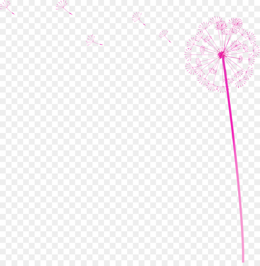 Pissenlit，Fleur PNG